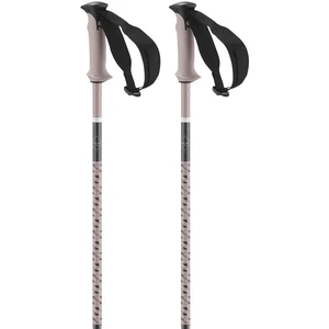 Salomon Bâtons Polar Pro pas cher