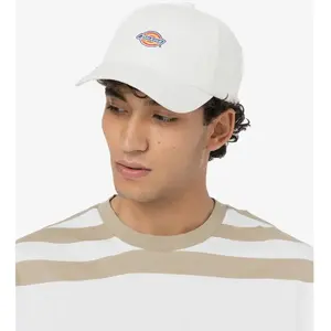 casquettes dickies hardwick c581 cloud pas cher