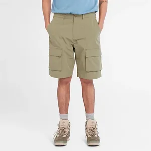 Timberland DWR Cargo Short - Short randonnée homme Cassel Earth US 34 pas cher