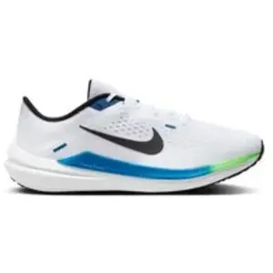 Nike Baskets Winflo 10 Road pas cher