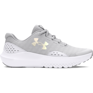 Comparateur de prix : Under Armour Chaussures De Running Gs Surge 4