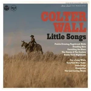 Comparateur de prix : Disques vinyle Pop Rock Sony Music Colter Wall - Little Songs