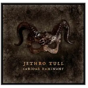 Comparateur de prix : LP  de Jethro Tull - Curious Ruminant - pour Unisexe - Standard Standard