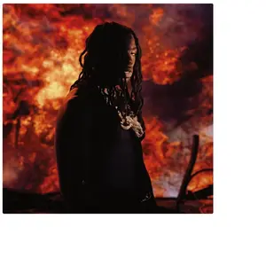 Comparateur de prix : Sony Music Entertainment France Apocalypse Vinyle Vert Gazo (Interprète) Vinyle album