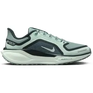 Chaussure de running sur route imperméable Nike Pegasus 41 GORE-TEX pour femme - Vert 36.5 FQ1357-003 pas cher