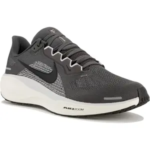 Nike Pegasus 41 Chaussures homme Gris/argent 45.5 pas cher