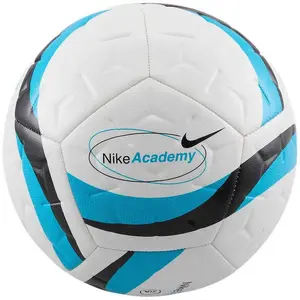 Comparateur de prix : Pika Nike Academy Team HV4387-101 4