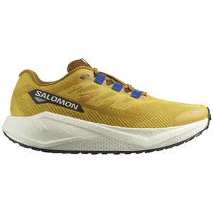 Salomon Chaussures De Running Aero Blaze 3 Grvl pas cher