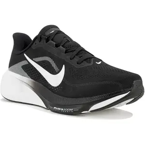 Chaussures de running homme : Nike Pegasus 42