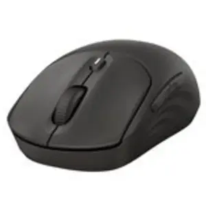 Souris HP 405 Quiet Wireless Bluetooth RF 1200 DPI Noir Ambidextre