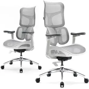 Comparateur de prix : Chaise ergonomique SIHOO Doro S100 - Double support lombaire dynamique - Accoudoirs 4D - Certifié BIFMA/SGS - Blanc - Neuf