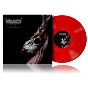 LP de Mental Cruelty - Echoes of a forlorn Land - pour Indifférent - Standard Standard pas cher