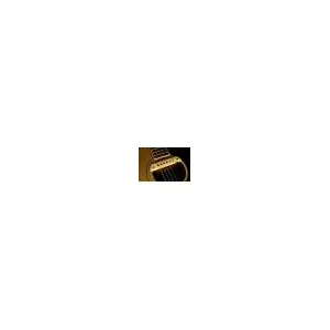 Lr Baggs M1actif pour Guitare Gaucher