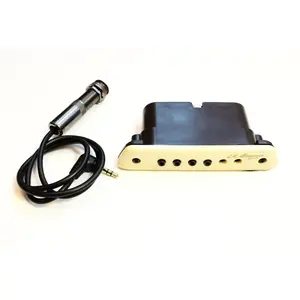 LR Baggs M1 Active micro rosace
