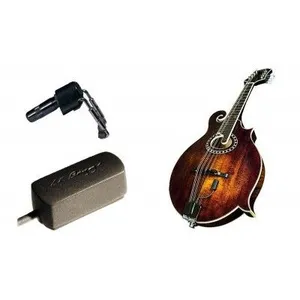 Accessoires guitares LR BAGGS RADIUS-M Micros guitares acoustiques
