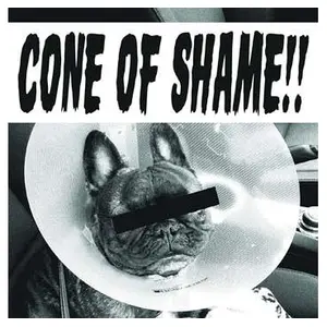 PIAS-RECLAMATION Cone Of Shame !! Faith No More (Interprète) Maxi vinyleVendu parfnac