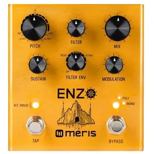 Meris Enzo Multi-Voice Instrument Synthesizer Pédale D'effet pas cher