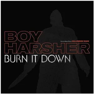 Sacred Bones Records Burnt It Down Boy Harsher (Interprète) Maxi vinyleVendu parcultura