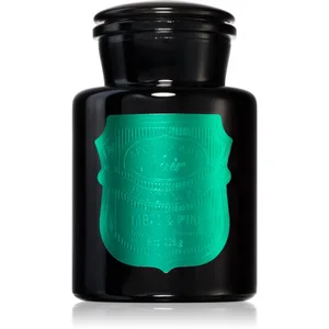 Paddywax Apothecary Noir Tabac & Pine bougie parfumée 226 g pas cher