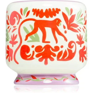 Paddywax A Dopo Jungle bougie parfumée 226 g pas cher
