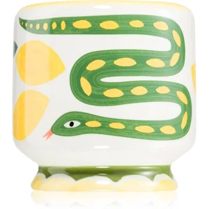 Paddywax A Dopo Snake bougie parfumée 226 g pas cher