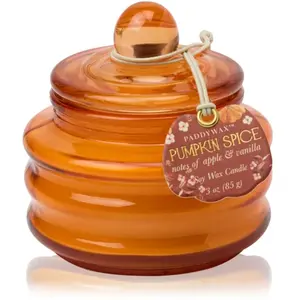 Paddywax Pumpkin Spice bougie parfumée 58 g pas cher