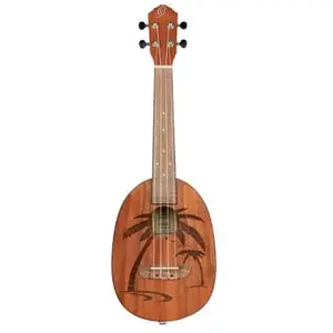 Comparateur de prix : Ortega RUPA5 - Ukulele concert pineapple