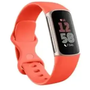 Comparateur de prix : Fitbit charge 6 corail (corail) et corps en aluminium or champagne GA05184-EU