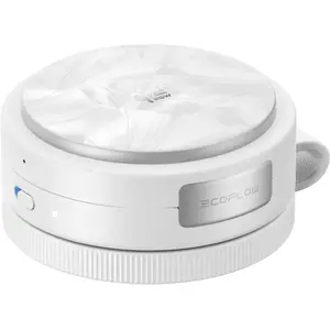 Station de recharge sans fil EcoFlow RAPID Mag Qi2.2 (3 en 1, pliable) pas cher