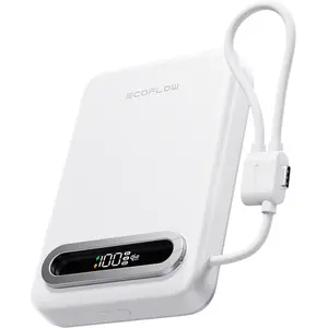 Batterie externe EcoFlow RAPID Mag Qi2.2 (10 000 mAh, 25 W, câble USB-... pas cher
