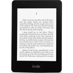 Amazon Kindle Paperwhite 6 2 Go [Wi-Fi, 2. Generation] noir pas cher