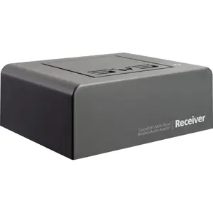 Transmetteurs audio-vidéo SVS Soundpath Multi-Band Wireless Receiver