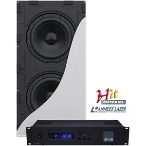 Svs 3000 IN-WALL - Subwoofer encastrable clos 2 * 9" pas cher