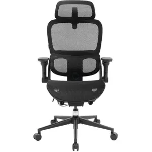 Sihoo B300 Pro Chaise de bureau ergonomique - Noir / Standard B300-Pro-M101 pas cher