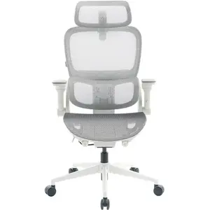 Sihoo B300 Pro Chaise de bureau ergonomique - Blanc / Standard B300-Pro-M102 pas cher