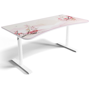 Comparateur de prix : Arozzi Arena Sakura