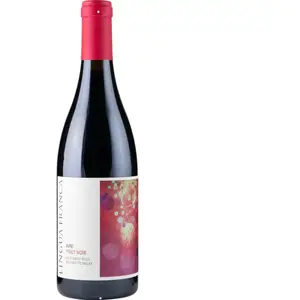 Lingua Franca Avni Pinot Noir 2022 0.75 l pas cher