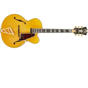 D'Angelico D'Angelico Excel EXL1 Amber guitare hollow body avec étui DeluxeVendu parwoodbrass