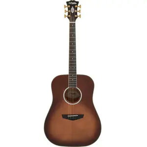 D'Angelico Lexington Dreadnought E Autumn Burst