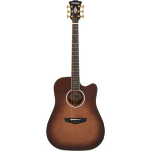 D'angelico Bowery Autumn Burst
