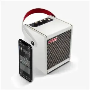 Positive Grid Spark MINI Combo modélisation