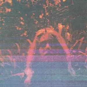 Comparateur de prix : Peripheral Vision (10 Years Anniversary Deluxe Edition)
