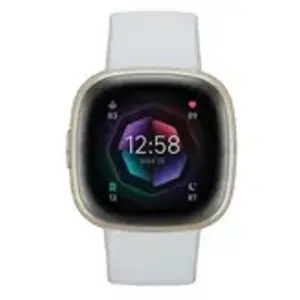 Comparateur de prix : Fitbit Sense 2 Numérique Écran tactile Or GPS (satellite)
