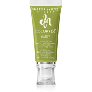 Danessa Myricks Beauty Colorfix Matte Ombre à paupières 1000 ml pas cher