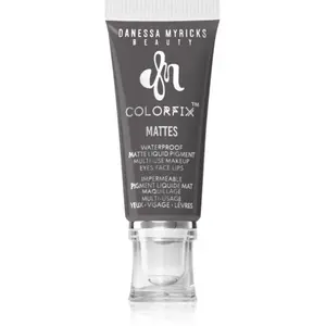 Danessa Myricks Beauty Colorfix Matte Ombre à paupières 1000 ml pas cher