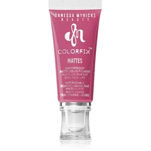 Danessa Myricks Beauty Colorfix Matte Ombre à paupières 1000 ml pas cher