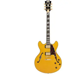 D'Angelico Excel DC Amber guitare semi-hollow body avec housseVendu parbax-music
