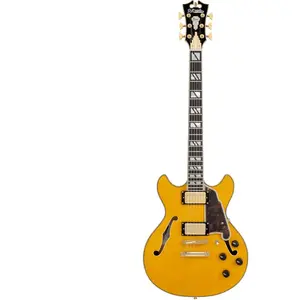D'Angelico D'Angelico Excel Mini DC Amber guitare semi-hollow body avec housseVendu parbax-music