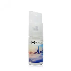 Skyline Shampooing sec poudre - R+Co Shampoing 28 g pas cher
