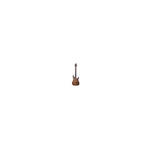Comparateur de prix : Non communiqué Schecter C-1 EXOTIC SPALTED MAPLE - Guitare électrique